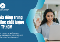 Khóa tiếng Trung online chất lượng tại TP.HCM